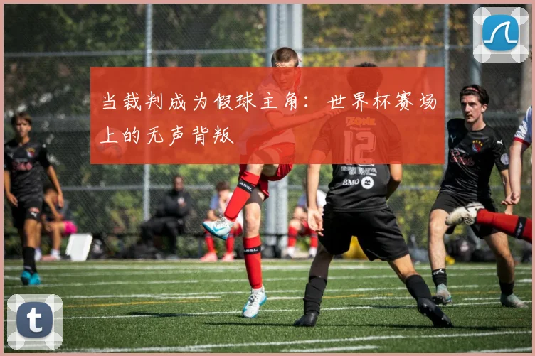 当裁判成为假球主角：世界杯赛场上的无声背叛