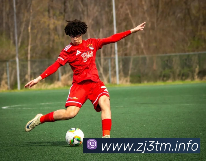 九游官方登录入口APP 封面图